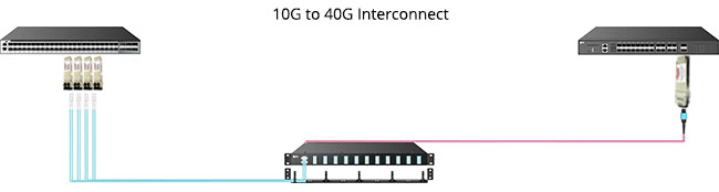 10G to 40G Interconnect